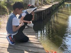 -合肥滨湖国家森林公园