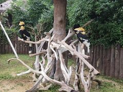 -上海野生动物园