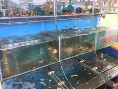 -海月湾海景餐厅( 嵊泗本地老字号店)