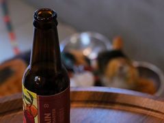 -Again Coffee Roaster(香蜜湖店)