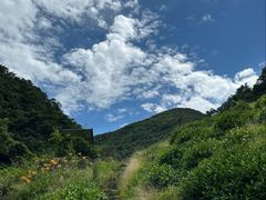 -东白山