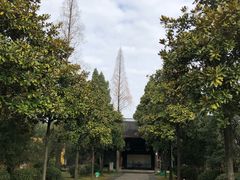 -太平天国侍王府