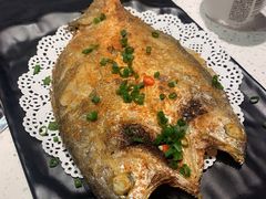 -九府羊·鲜羊火锅·烤串(新华路店)