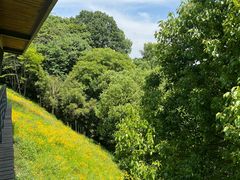 -西湖风景区-江洋畈生态公园