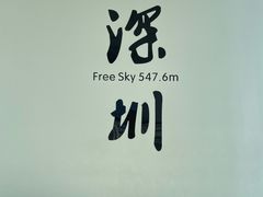 -平安金融中心云际观光层