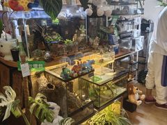 -Rabbit Cafe私房西餐甜点咖啡(栖霞路店)