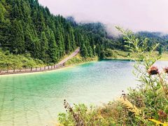 -武陵山森林公园