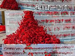 -万达广场(龙湖店)