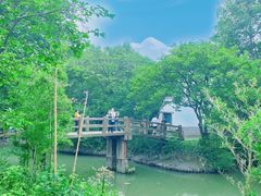 -西溪国家湿地公园