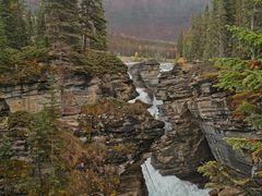 -阿萨巴斯卡瀑布观景点