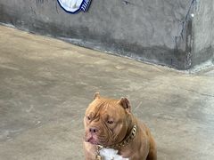 -HALO SOUL COFFEE·咖啡·甜品·简餐(嘉年华海信广场店)