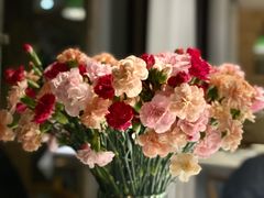 -春暖花开(西溪店)