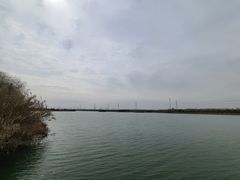 -南湖湿地公园