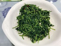 养生枸杞苗-老毛手抓·盐池滩羊非遗手抓(宁夏总店)