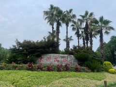 -东湖听涛景区