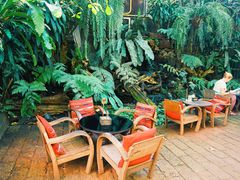 -Fern Forest Cafe