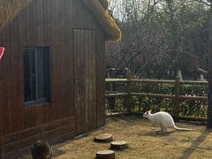 -茅山东方盐湖城景区