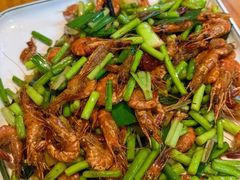 -61号餐吧(兴坪古镇漓江店)