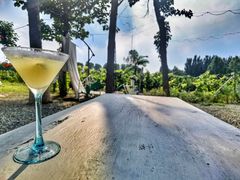 -安德鲁户外烧烤帐篷营地(马泉营店)