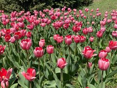 -长春公园(普阳街道)