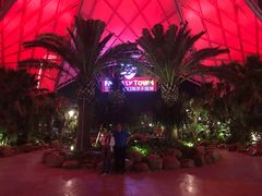 -三亚海昌梦幻海洋不夜城