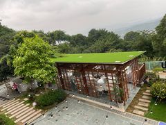 -南山植物园