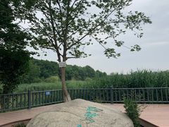 -白鹭湾湿地公园