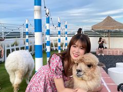 -Blue Concept Cafe&Farm·關於藍