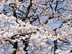 -北京上方山国家森林公园