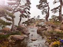 -罗红摄影艺术馆