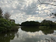 -苏州太湖国家湿地公园