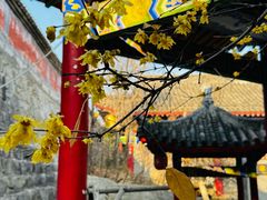 -西安大兴汤院遗址公园