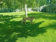 -北京野生动物园