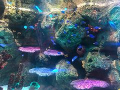 -沈阳海洋探索中心