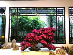 -杭州植物园