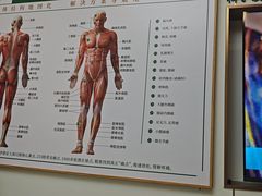 -通透堂中医·精准推拿(旗舰店)