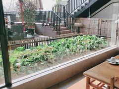 -黄山老妈·土菜(碧桂园店)