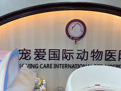 -宠爱国际动物医院·消化内科·心肾内科·ISFM猫友好(望京店)