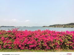 -露天矿生态公园