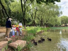 -惠洛克国际儿童之家(绿博园中心)