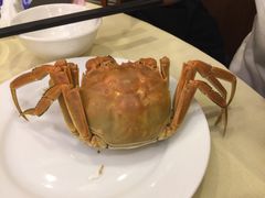 -王宝和酒家(黄浦店)