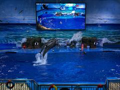 -多彩贵州城极地海洋世界