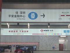 -敏华冰厅(平安金融中心店)