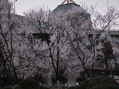 -西塔老太太泥炉烤肉(沈阳店)