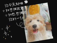 -宠物家(角门东店)