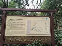 -杭州黄龙洞