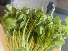 西洋菜-官也街澳门火锅(新源里店)