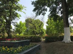 -秀丽东方