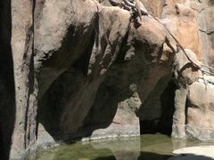 -成吉思汗公园