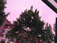 -宝龙广场(蓬莱区)